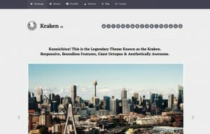 Kraken Legal (a “crack team” of lawyers) has a decent, responsive site.